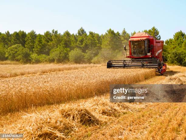 harvester - combine harvester stock pictures, royalty-free photos & images