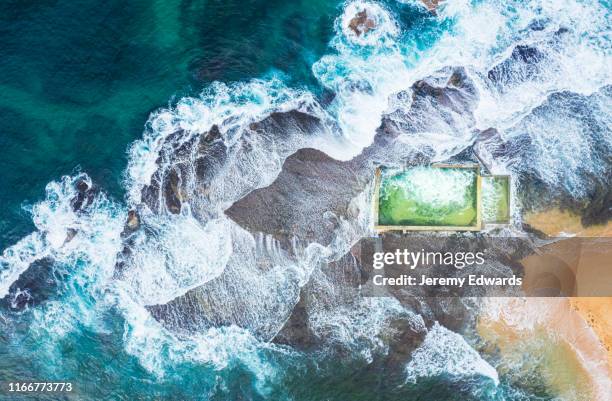 tidal pool, northern beaches, sydney, new south wales, australia - sydney beach stock pictures, royalty-free photos & images