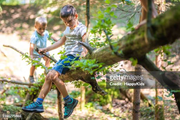 boys playing in forest - kids white socks stock pictures, royalty-free photos & images