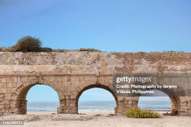 aqueduct of caesarea - cesarea imagens e fotografias de stock