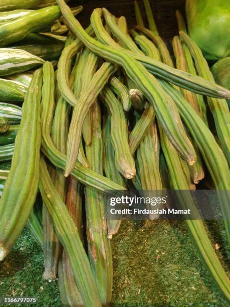 fresh moringa oleifera or known as drumsticks vegetable - drumstok stockfoto's en -beelden
