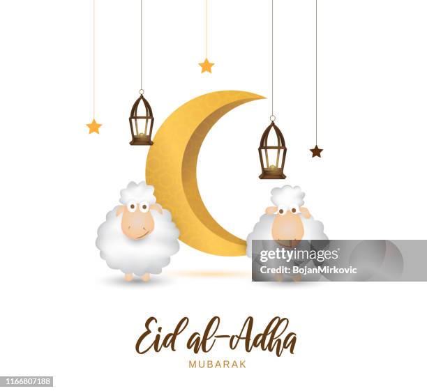 eid al adha mubarak grußkarte mit niedlichen schafen, mond, laterne und sterne. vektor - aufopferung stock-grafiken, -clipart, -cartoons und -symbole