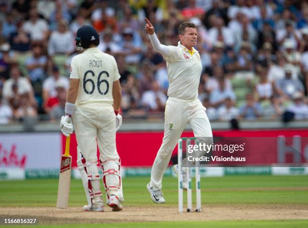 Peter Siddle of Australia celebrates taking the wicket of Joe Root of England during day two of the first Ashes test match at Edgbaston on August 2,...