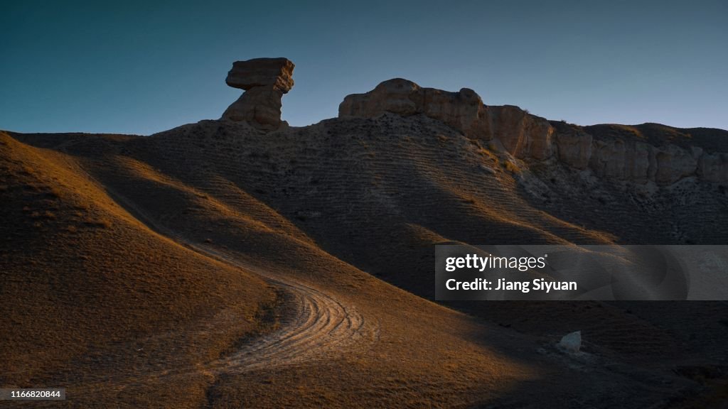 Camel mountain