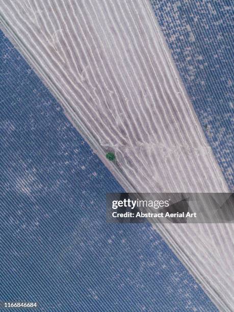 abstract aerial shot of a lavender field, france - planalto de valensole imagens e fotografias de stock