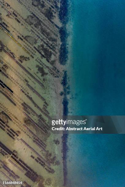 aerial shot of an oyster bed at the edge of an estuary, arcachon, france - gap france stock-fotos und bilder
