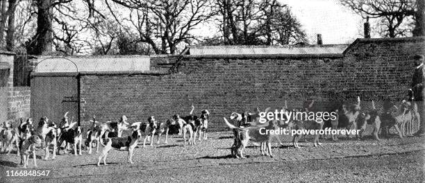 Pytchley 65 Pytchley Stock Photos, High-Res Pictures, and Images - Getty Images