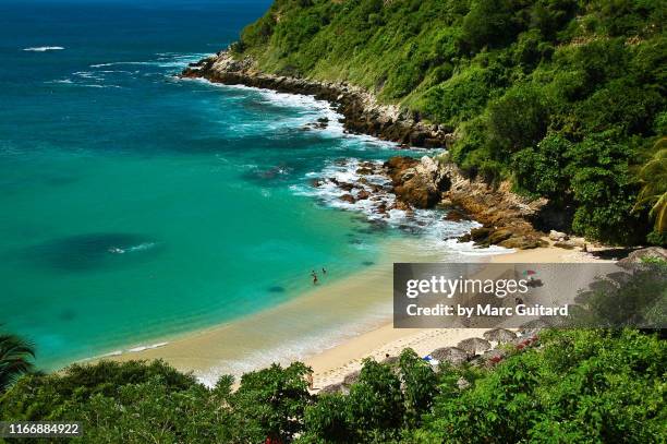 tropical beach scene, playa carrizalillo, oaxaca, mexico - oaxaca foto e immagini stock