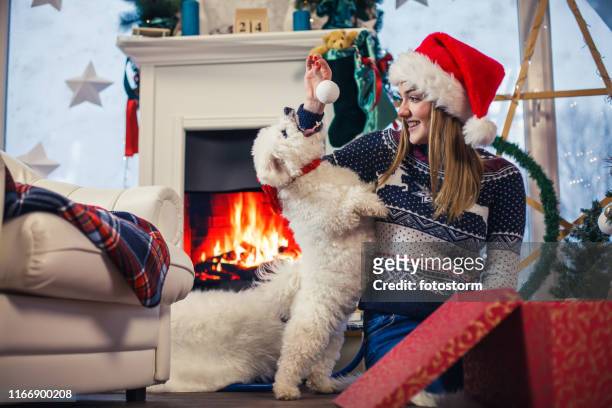 winter doggy spielzeit - dog knotted in woman stock-fotos und bilder
