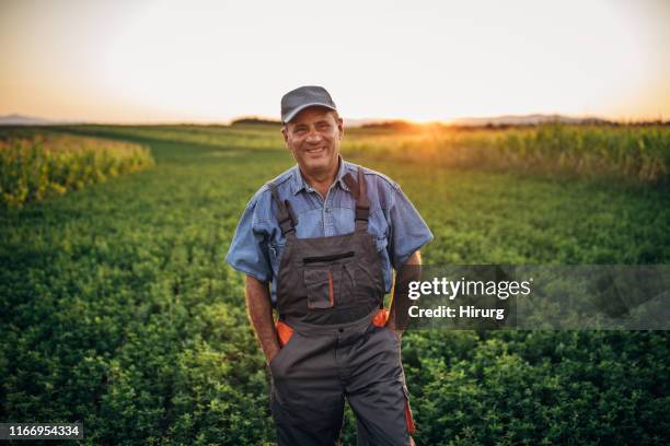 portrait of happy senior farmer - green jumpsuit stock pictures, royalty-free photos & images