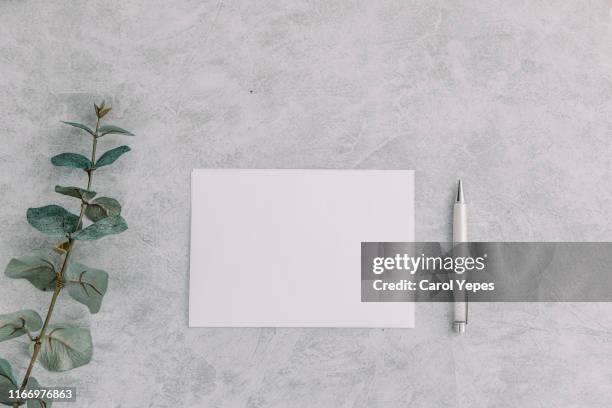 paper blank, eucalyptus branches - notepad white table foto e immagini stock