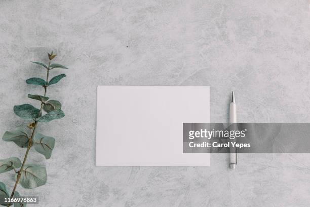 paper blank, eucalyptus branches - notepad table stock pictures, royalty-free photos & images