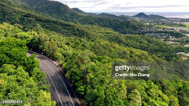 forest road in the kuranda rainforest - cairns road stock pictures, royalty-free photos & images