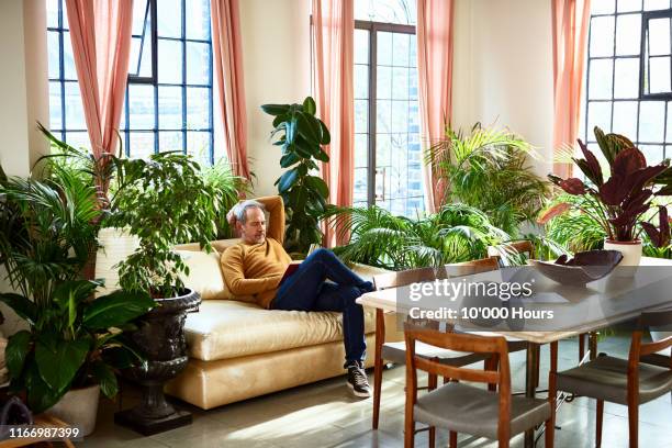 mature man resting on sofa with book - plants indoors stock pictures, royalty-free photos & images