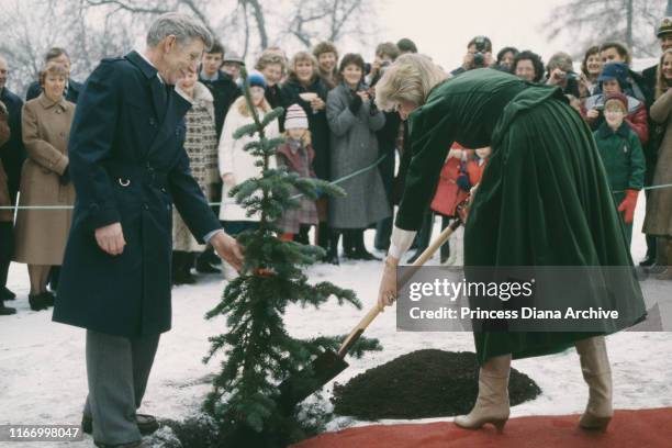 Diana, Princess of Wales planting a tree outside the British Embassy in Oslo, Norway, February 1984. She is wearing a green velvet suit by Caroline...