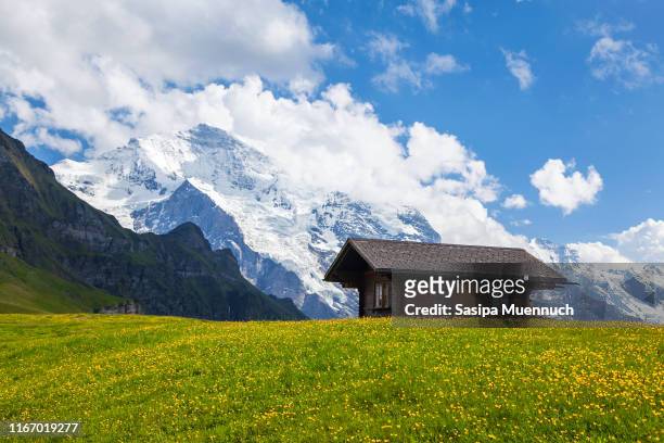 european cottage at mannlichen - swiss alps summer stock pictures, royalty-free photos & images