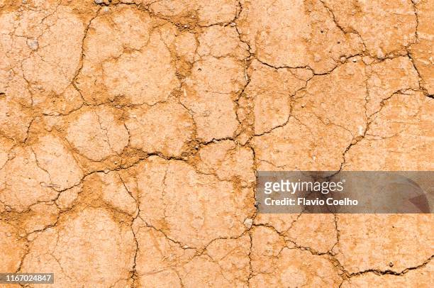 dry soil with shallow cracks - paisaje árido fotografías e imágenes de stock