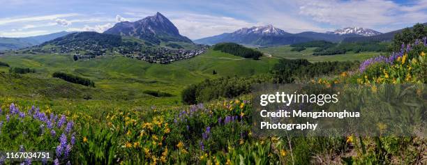 capital of wild flowers-crested butte in colorado - アスペン ストックフォトと画�像