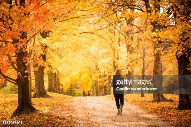 walking down a pretty country lane in autumn - indiana nature stock pictures, royalty-free photos & images