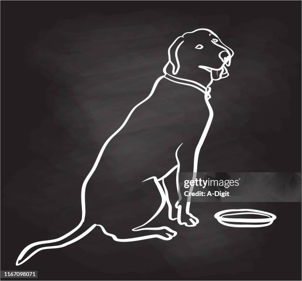 happy dog sitting chalkboard - happy labrador stock illustrations