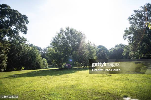 a park - suburb park stock pictures, royalty-free photos & images