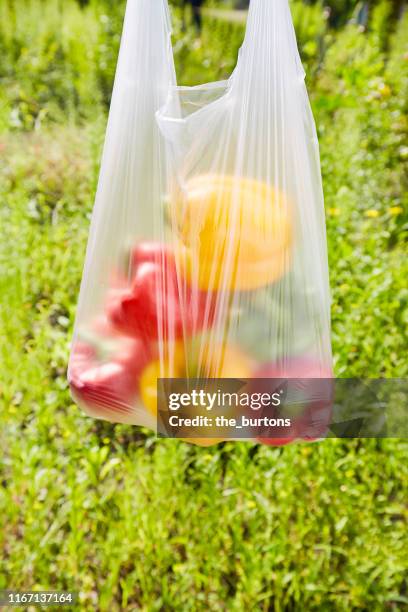 transparent plastic bag with red and yellow bell peppers against green plants in a garden - plastic bag stock pictures, royalty-free photos & images