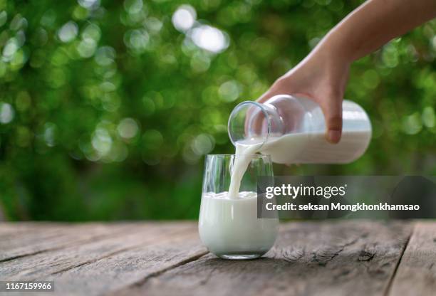 pouring milk in the glass on the background of nature. - glass of milk stock pictures, royalty-free photos & images