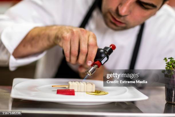 chef using a kitchen blowtorch to caramelize a molecular cuisine meal in a restaurant kitchen - molecular gastronomy stock pictures, royalty-free photos & images