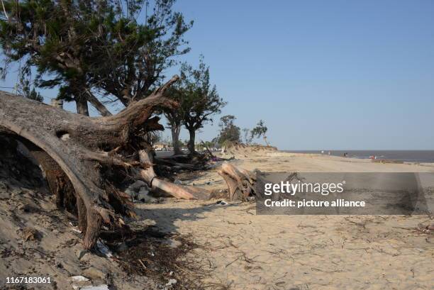 September 2019, Mozambique, Beira: There are still trees on Beira beach that have been uprooted by Cyclone Idai. Exactly above the city with around...
