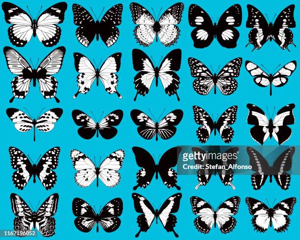 set of black and white, vector butterflies on blue background - butterfly tattoos stock illustrations