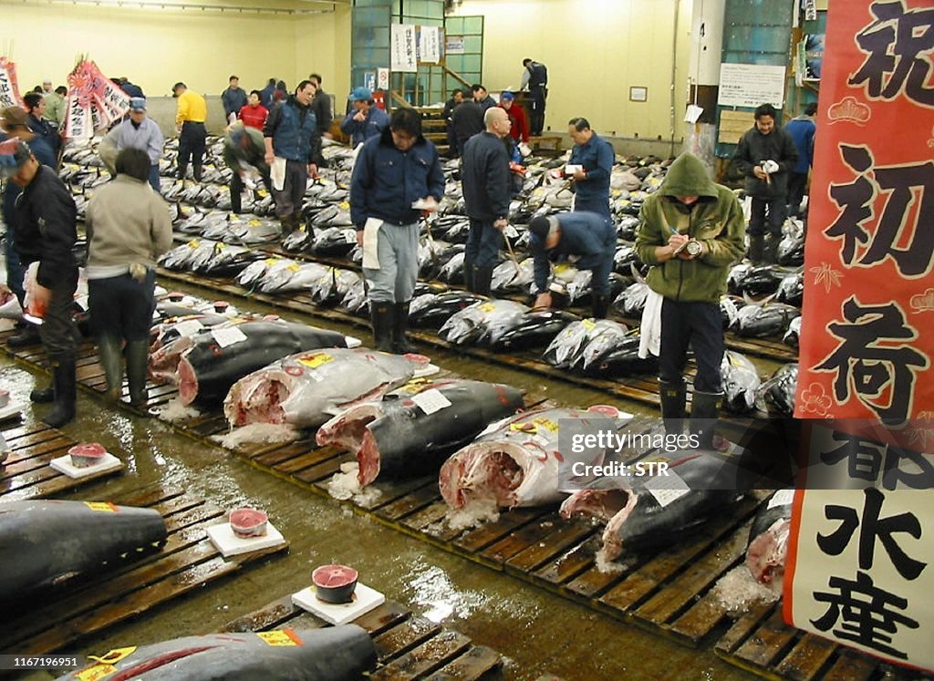 JAPAN-ASIA-QUAKE-FISH