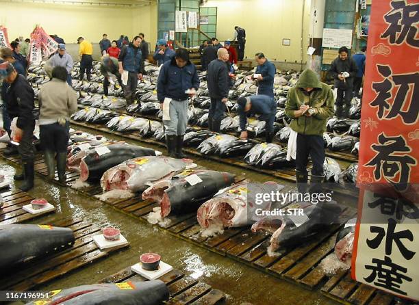 JAPAN-ASIA-QUAKE-FISH, News Photo