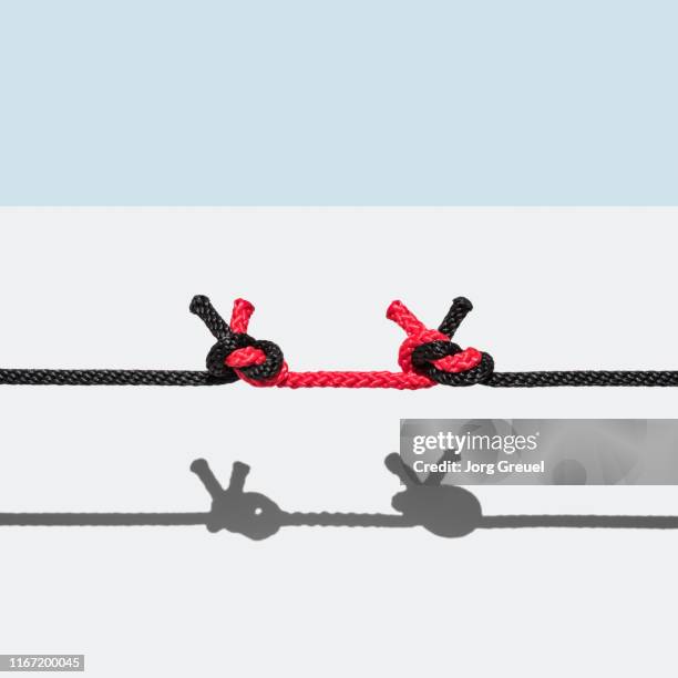 Two Ropes Entwined 77 Two Ropes Intertwined Stock Photos, High-Res Pictures, and Images ...