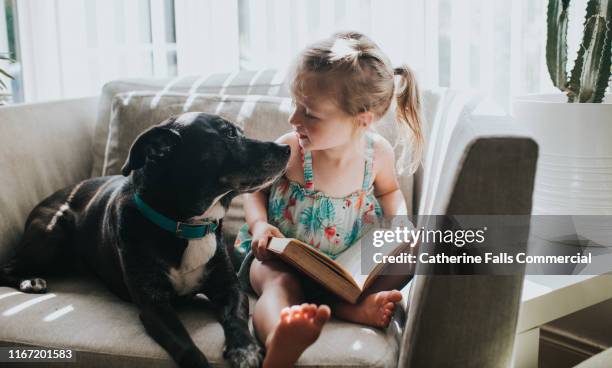 reading a book - kind child stock pictures, royalty-free photos & images