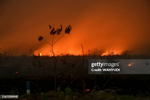 This picture taken on September 9, 2019 shows a forest fire lighting up the night sky in Kampar, Riau. - Huge fires are raging across vast swathes of...