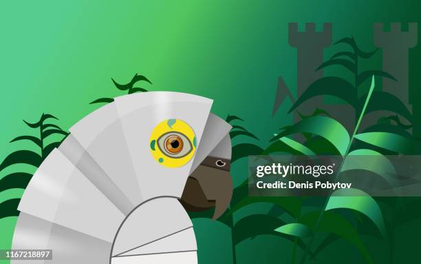 papageienritter im dschungel. - cavalier stock-grafiken, -clipart, -cartoons und -symbole