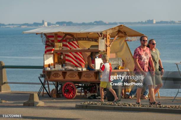 Daily life with people enjoying the summer sun at Vlissingen beach in Zeeland, The Netherlands on 25 August 2019. The 4-kilometer long beach has...