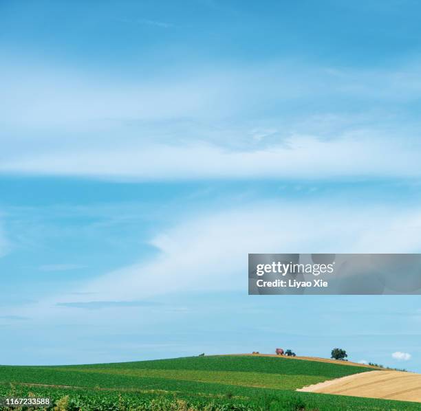 tranquil scene in biei - hokkaidō stock pictures, royalty-free photos & images