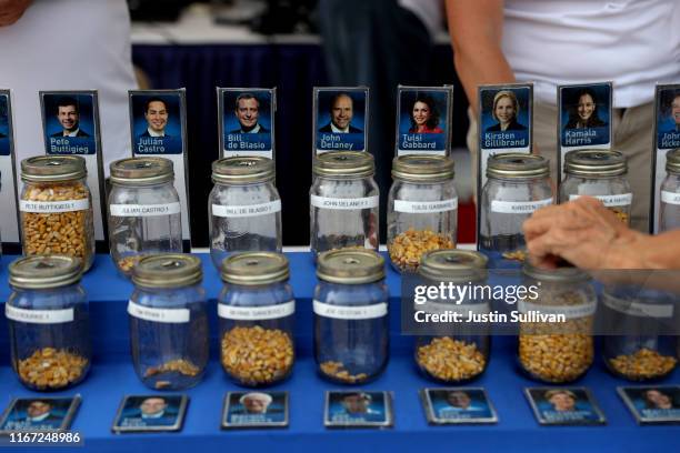 Fairgoers casts their votes in the 'Cast Your Kernel' election while attending the Iowa State Fair on August 10, 2019 in Des Moines, Iowa. Kamala...