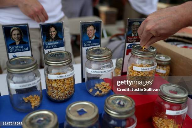 Fairgoers casts their votes in the 'Cast Your Kernel' election while attending the Iowa State Fair on August 10, 2019 in Des Moines, Iowa. Kamala...