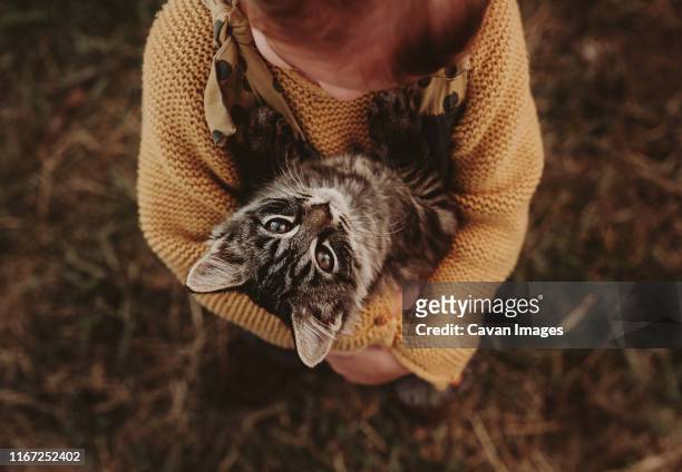 baby toddler holding kitten cat in the fall - girls cuddling cat stock-fotos und bilder