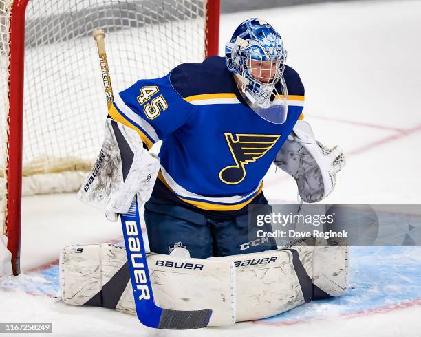 Colten Ellis of the St. Louis Blues makes a save against the New York Rangers during Day-5 of the NHL Prospects Tournament at Centre Ice Arena on...