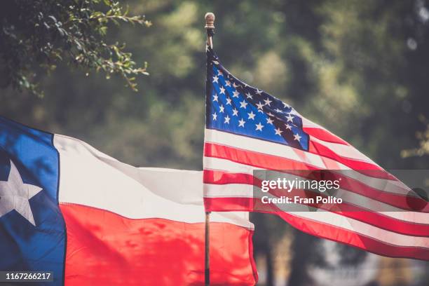 american and texas flags. - texas state flag stock-fotos und bilder