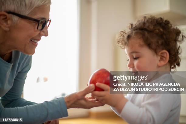 grand-mère jouant avec son petit-fils - kids play apple photos et images de collection