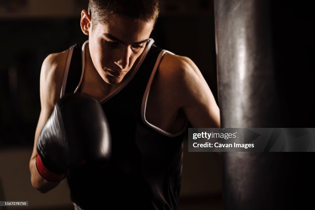 Closeup Of Young Boxer Practicing A Hit Boxing During Workout High-Res ...