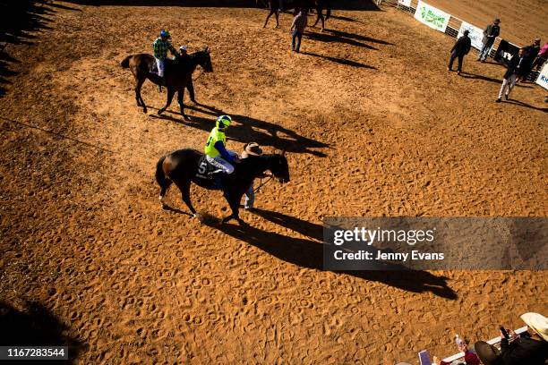 Louth Races Louth Races Photos and Premium High Res Pictures - Getty Images