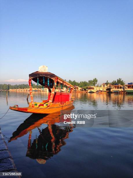 dal lake - dal lake stock pictures, royalty-free photos & images