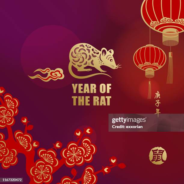 stockillustraties, clipart, cartoons en iconen met groeten voor 2020 rat jaar - perzikbloesem