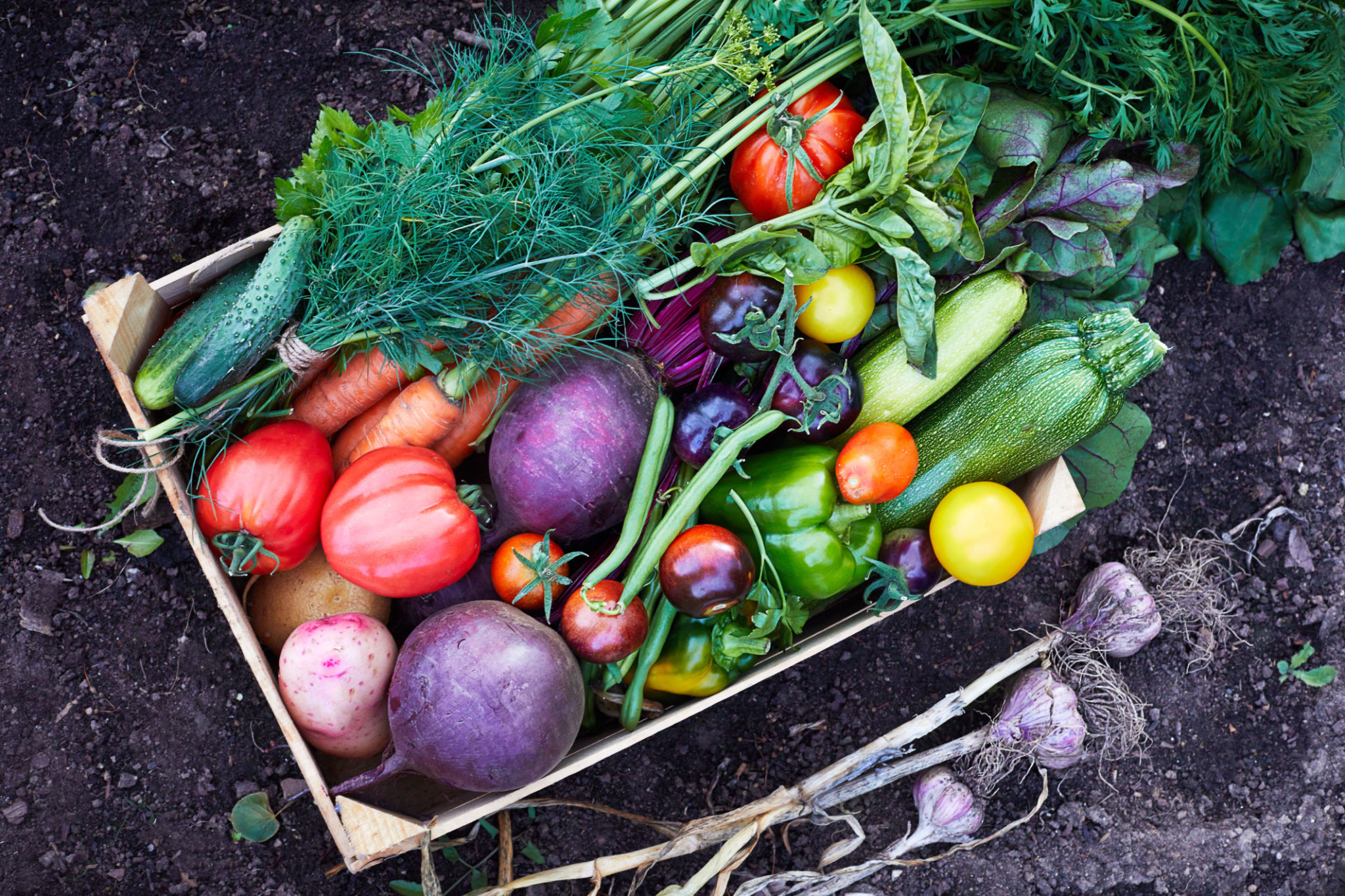 summer vegetables