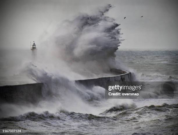 faro en una tempestad - ciclón fotografías e imágenes de stock